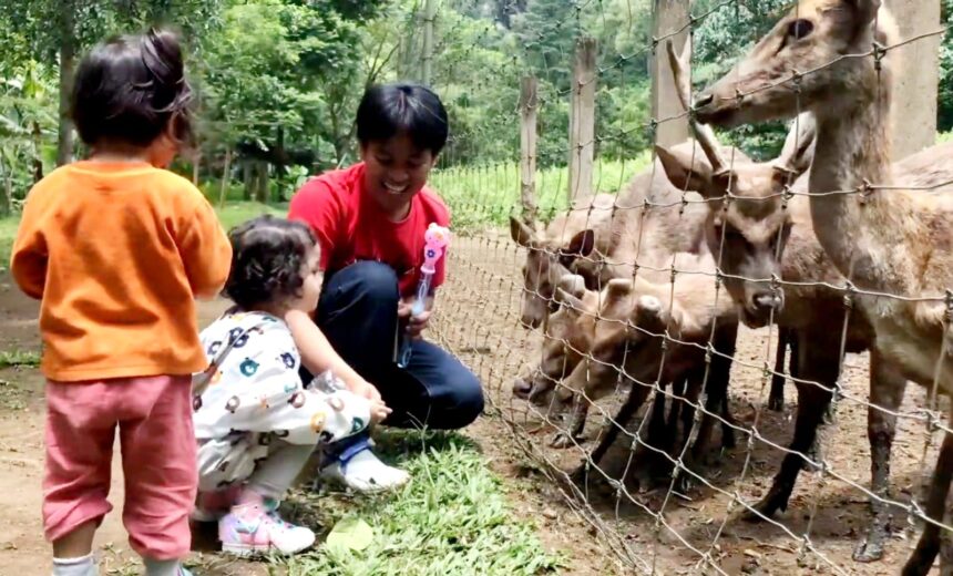 Mengajak Anak untuk Aktif Bergerak Selama 3 Jam Sehari demi Tumbuh Kembangnya