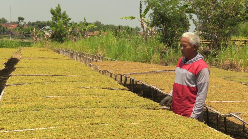 Pekerja Seni Meminta untuk Mengkaji Ulang Aturan Tembakau dalam RPP Kesehatan