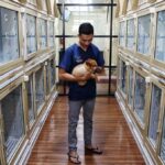 Penitipan Hewan Peliharaan Ramai Dipesan Menjelang Lebaran