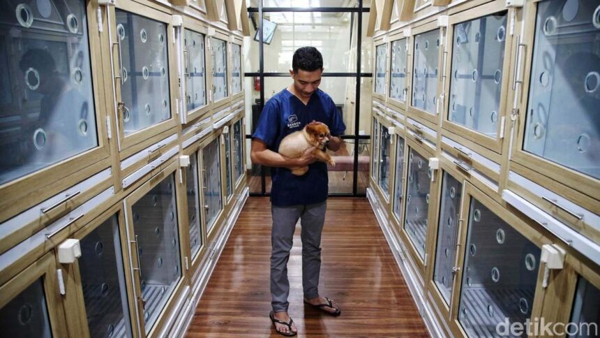 Penitipan Hewan Peliharaan Ramai Dipesan Menjelang Lebaran