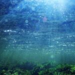 Kemenko Marves : World Water Forum Membuka Peluang Investasi dalam Air