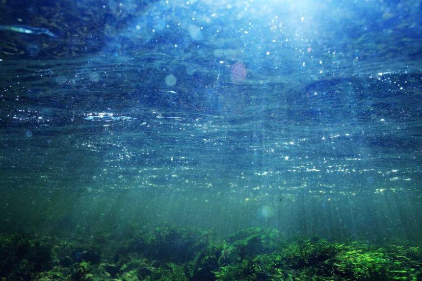 Kemenko Marves : World Water Forum Membuka Peluang Investasi dalam Air