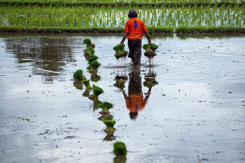 Kementan Menjamin Kesejahteraan Petani Melalui Program Pompanisasi