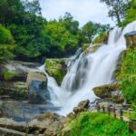 Melindungi Hutan untuk Mempertahankan Ketersediaan Sumber Air