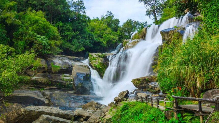 Melindungi Hutan untuk Mempertahankan Ketersediaan Sumber Air