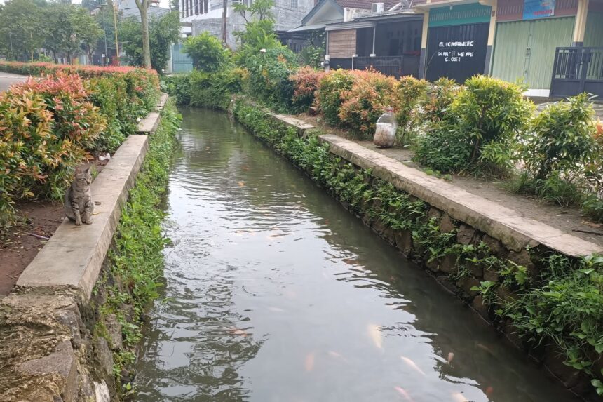 Membuat Air Selokan Menjadi Bersih, Inovasi Pengolahan Limbah Rumah Tangga
