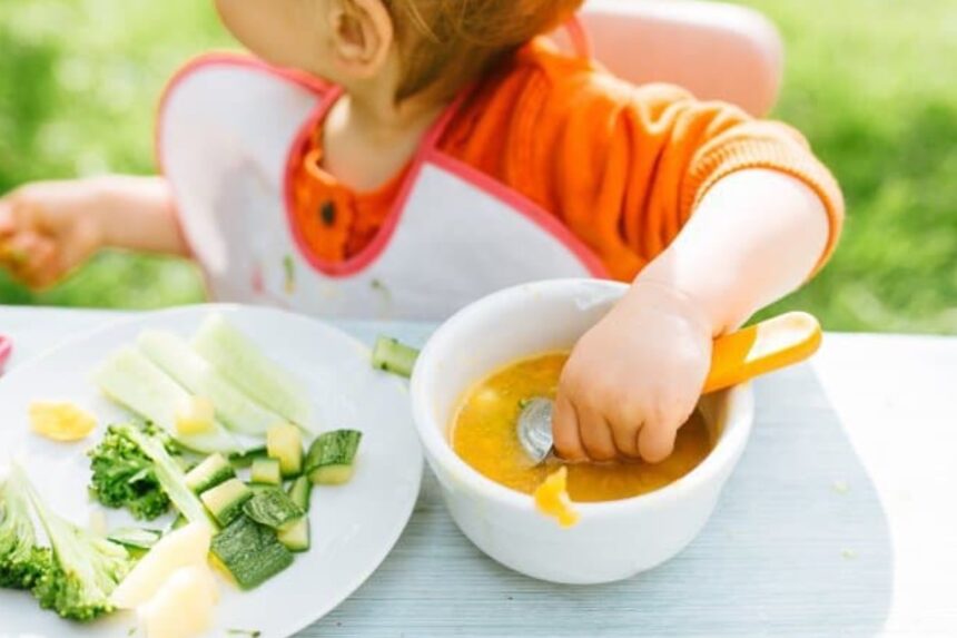 Panduan Menjaga Asupan Makanan Sehat bagi Anak Usia 1 Tahun