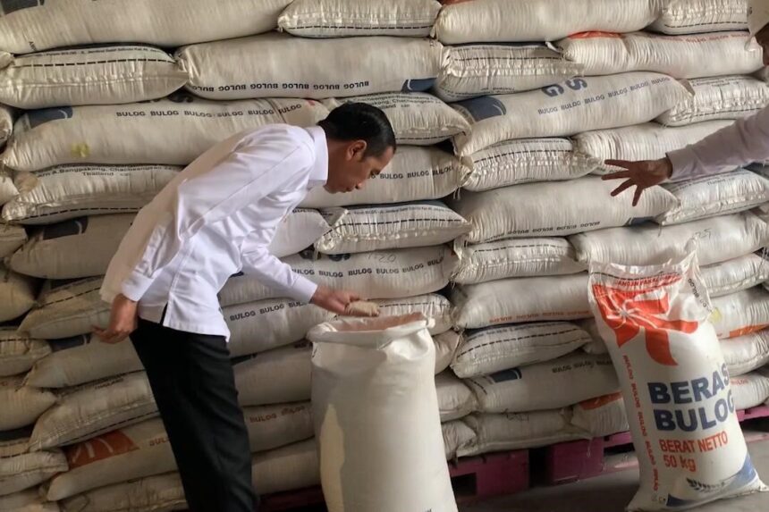 Presiden : Impor Beras Kurang dari 5% dari Kebutuhan Nasional