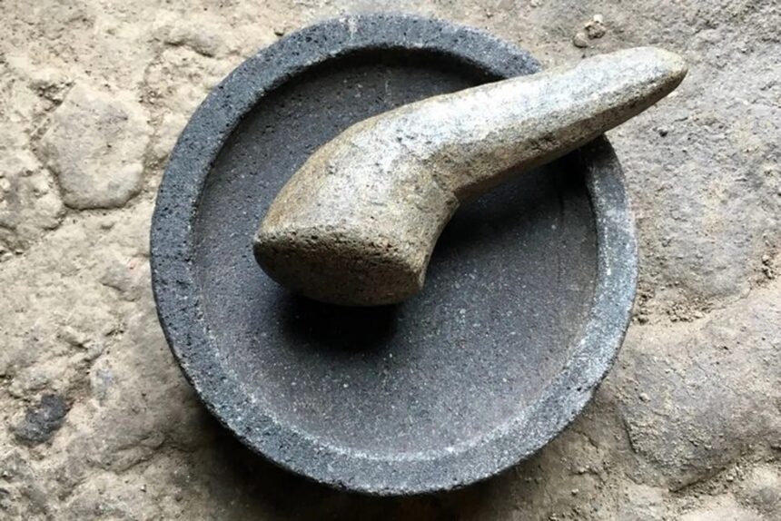 Apakah Cobek dan Ulek Batu Dapat Memicu Batu Ginjal? Ini Faktanya!