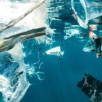 Indonesia Memimpin Konsumsi Mikroplastik Dunia, Dampaknya Mencemaskan!