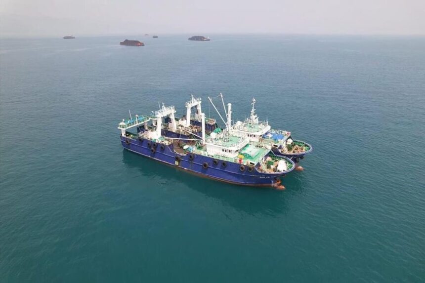 Minta Tindaklanjuti Kapal Asing Ilegal di Laut Arafura, IOJI Desak Pemerintah RI