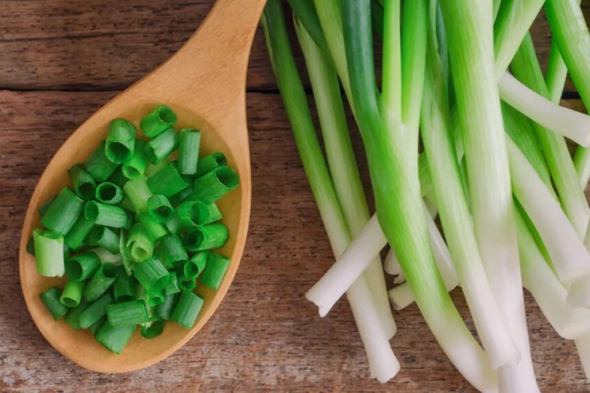 Temukan Ragam Manfaat Luar Biasa dari Daun Bawang untuk Kesehatan Anda