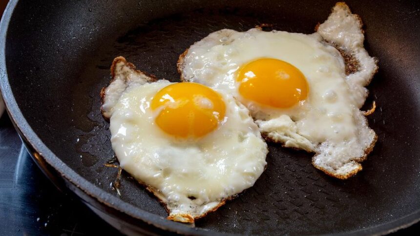 Apakah Makan Telur Setiap Hari Menyebabkan Kenaikan Kolesterol? Ini Fakta Sebenarnya!