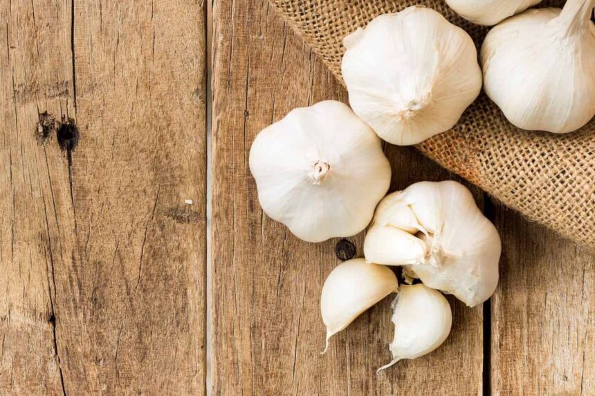 Bawang Putih : Turunkan Kolesterol & Gula Darah, Mitos atau Fakta?