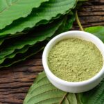 Kementan Siap Budidayakan Kratom, Tunggu Kepastian Status Narkoba