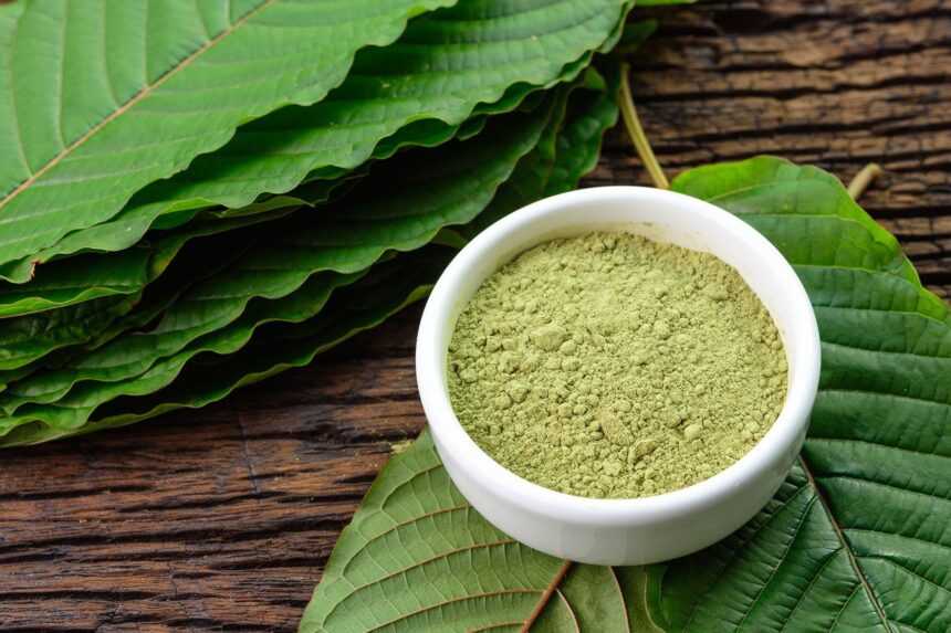 Kementan Siap Budidayakan Kratom, Tunggu Kepastian Status Narkoba
