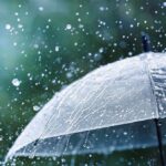 Meski Masuk Puncak Kemarau, Indonesia Masih Berpotensi Hujan Sepekan ke Depan