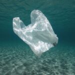 Peringatan Hari Bebas Kantong Plastik Internasional pada 3 Juli, Ini Sejarahnya!