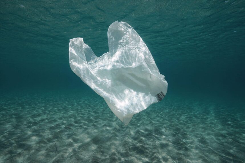 Peringatan Hari Bebas Kantong Plastik Internasional pada 3 Juli, Ini Sejarahnya!
