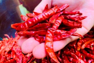 10 Cara Efektif Mengatasi Panas di Tangan Akibat Cabai