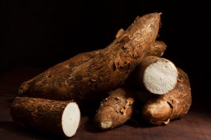 3 Jenis Makanan yang Harus Dihindari Saat Mengonsumsi Singkong Rebus!