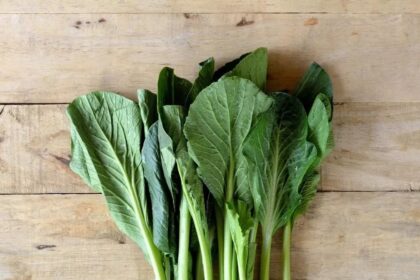 5 Manfaat Menarik dari Sayur Sawi dan Potensi Efek Sampingnya