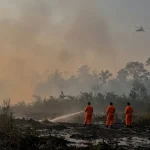 Ilustrasi karhutla yang belum berstatus bencana nasional: petugas memadamkan api di lahan gambut berasap