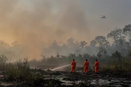 Ilustrasi karhutla yang belum berstatus bencana nasional: petugas memadamkan api di lahan gambut berasap